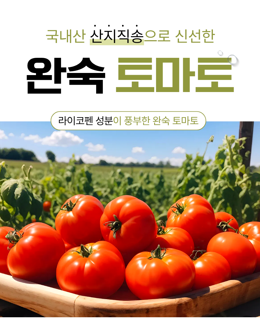 토마토 특별할인 