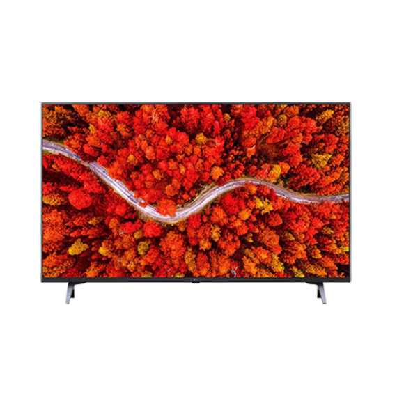 LG UHD 65인치 TV 65UR931C0NA (스탠드 or 벽걸이)