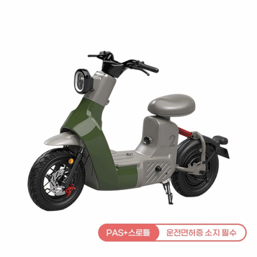 레이윙 타입2 전동스쿠터 (그린 or 옐로우) (TYPE 2)