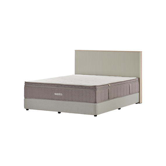 웰스 프레임 템바보드 퀸