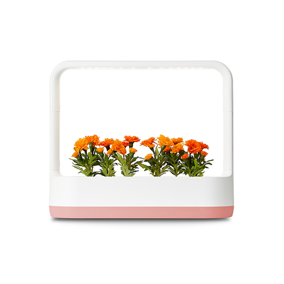 LG 식물재배기 틔운미니 L023P1P 핑크
