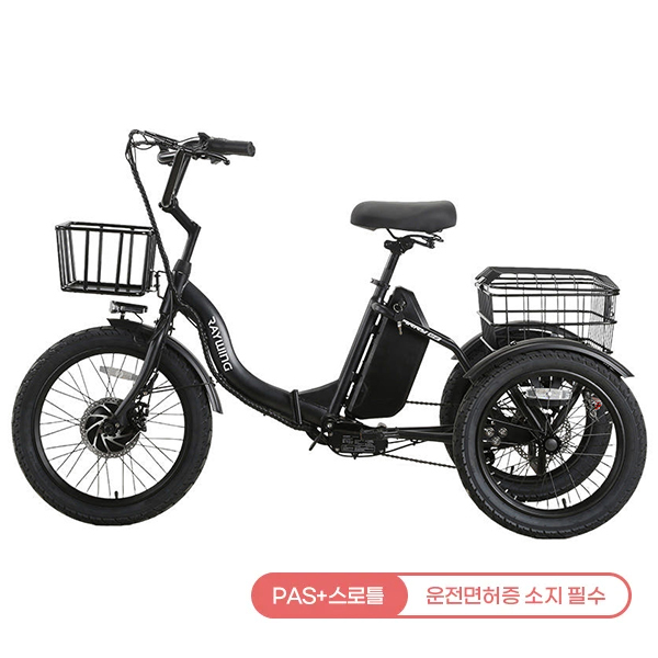 레이윙 캐리 이지 전기자전거 CARRYEZ 25A (블랙)