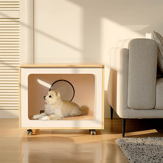 펫말리 펫 드라이룸