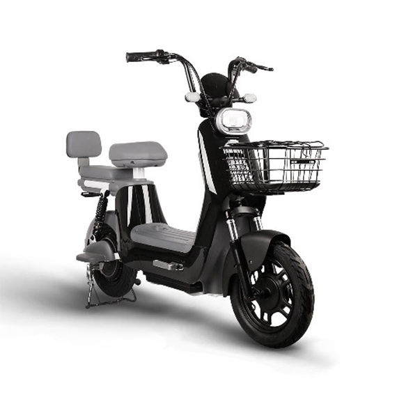 레이윙 디스커버리 프레시 전기 전동 스쿠터 (S10_28A)