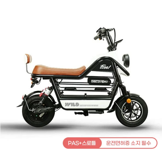 레이윙 디스커버리 와일드 S20 12A 전기 전동스쿠터 (S20_12A) (블랙 or 화이트)