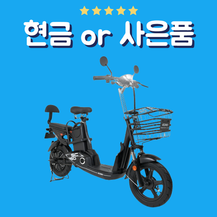 에이유테크 에코로 전동스쿠터 렌탈 SC350 48V 12A