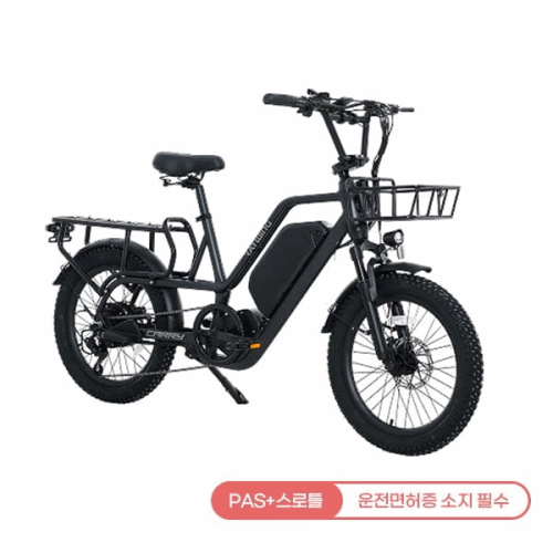 레이윙 캐리 전기자전거 (팬텀블랙 or 펄화이트) (CARRY_20A)