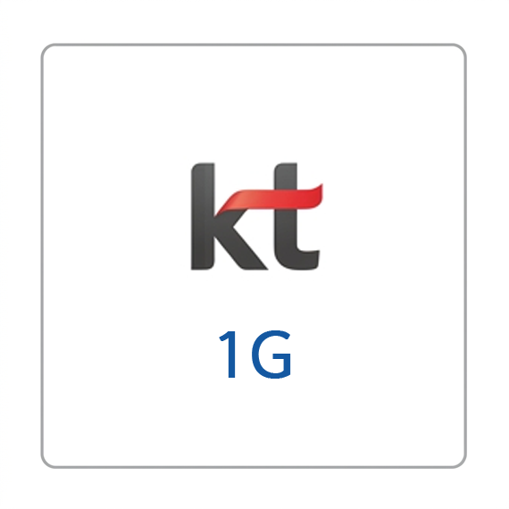 KT 인터넷 1G 단독