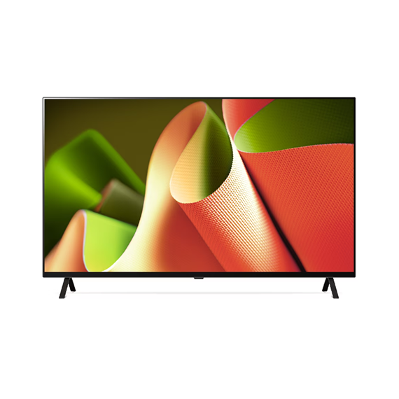 LG OLED TV 65인치 (OLED65B4MNA) (스탠드 or 벽걸이)