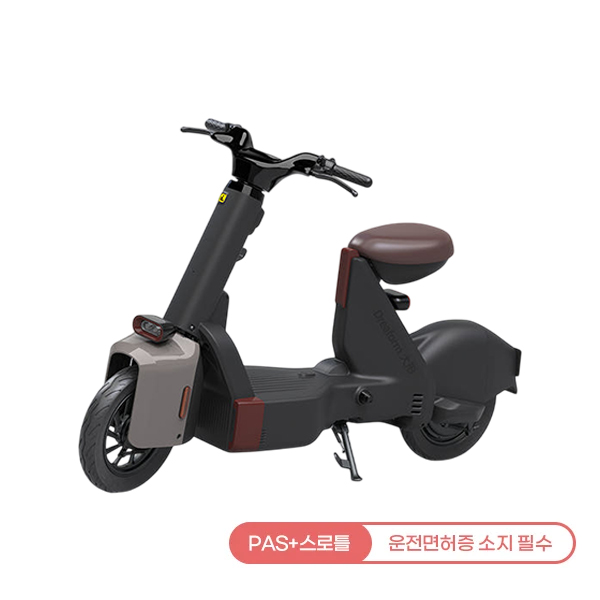 레이윙 타입1 전동스쿠터 (색상 3중 1택) (TYPE 1)