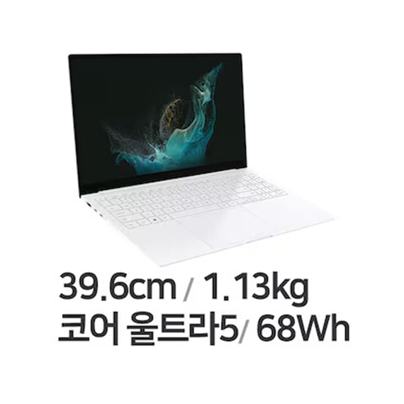 삼성 갤럭시북 프로 SE NT950XGQ-A51A (512GB) 노트북