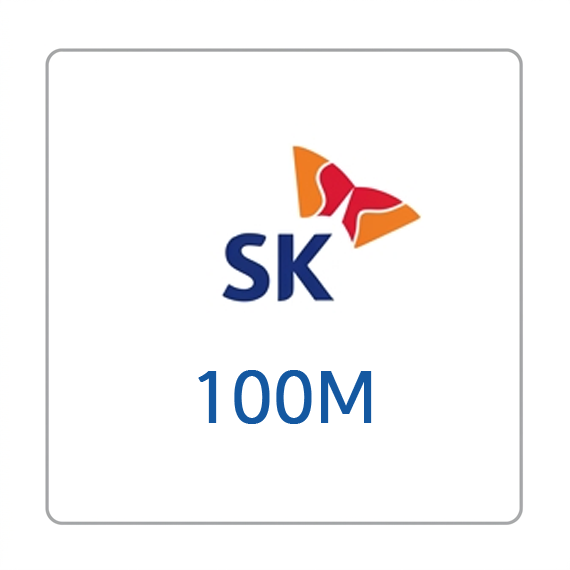 SK 브로드밴드 인터넷 100M WiFi