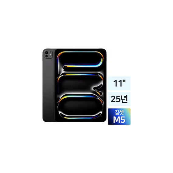 애플 APPLE iPad Pro 11 M5 1TB