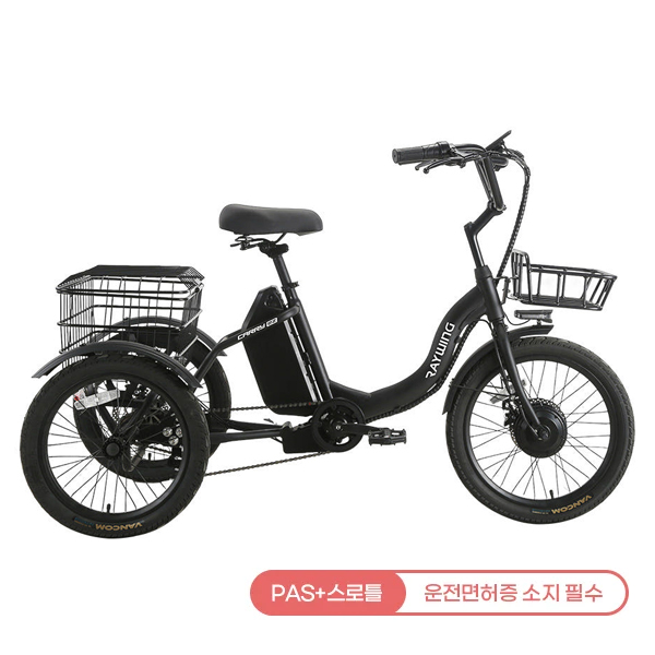 레이윙 캐리 이지 전기자전거 블랙 (CARRYEZ_10A_BK)