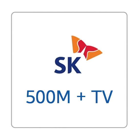 SK 브로드밴드 인터넷 500M WiFi Btv 스탠다드 (스마트3)