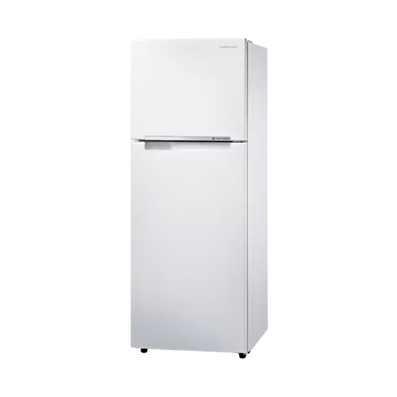 삼성 일반형 냉장고 255L (RT25NAR4HWW)