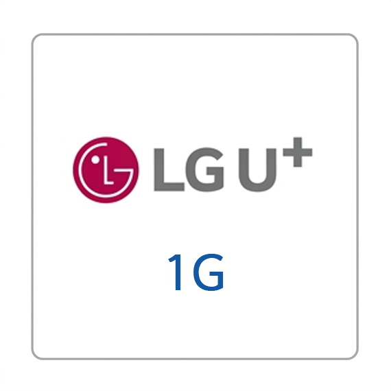 LG U+ 기가 인터넷 1G WiFi