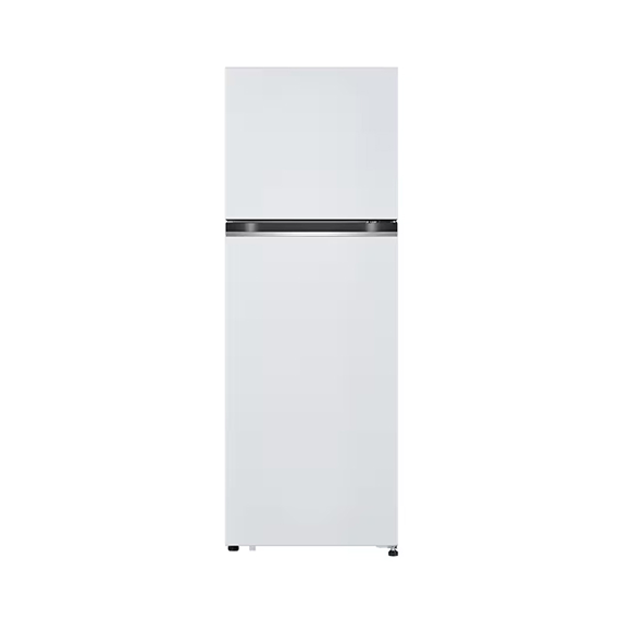 LG 일반형 냉장고 241L (B245W22)